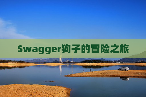 Swagger狗子的冒险之旅